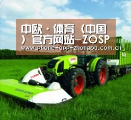 关于中欧体育