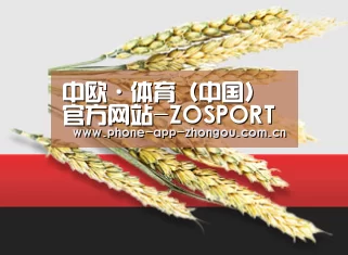 中欧·体育（中国）官方网站-ZOSPORTS