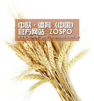 中欧·体育（中国）官方网站-ZOSPORTS