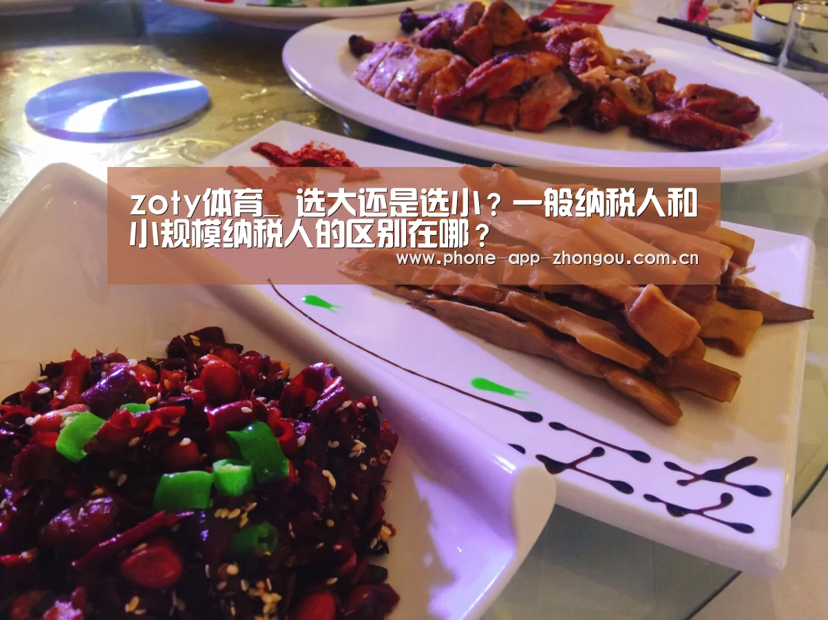 中欧体育平台