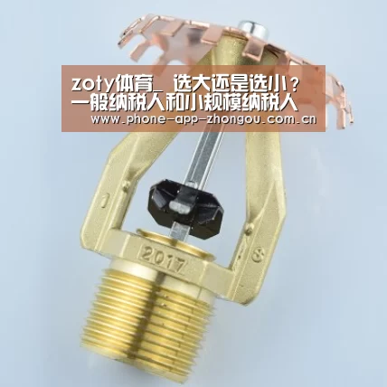 中欧体育官网