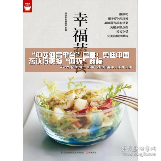 “中欧体育平台”官宣!奥迪中国否认将更换“四环”商标(图2) zoty体育