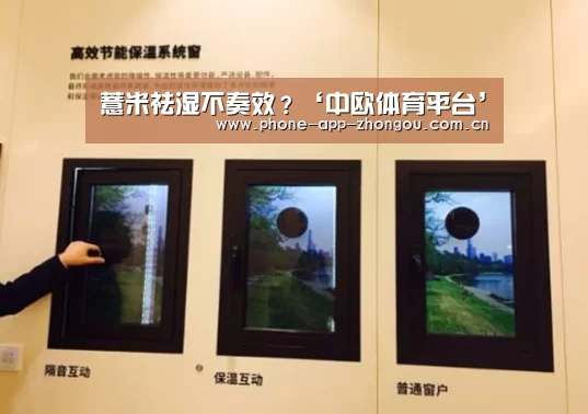 中欧体育