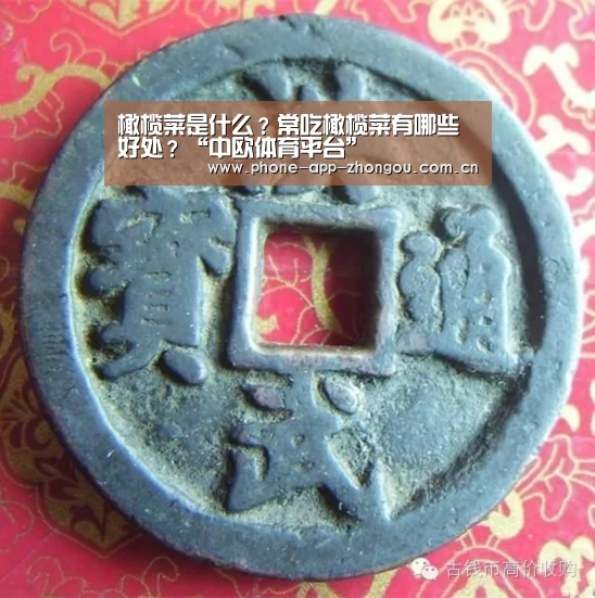 中欧体育