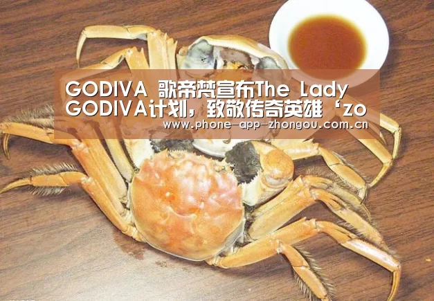 中欧体育平台