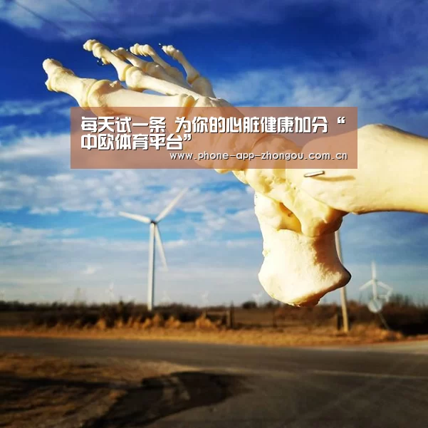 每天试一条 为你的心脏健康加分“中欧体育平台”(图3) 中欧体育平台