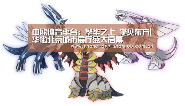 中欧体育平台