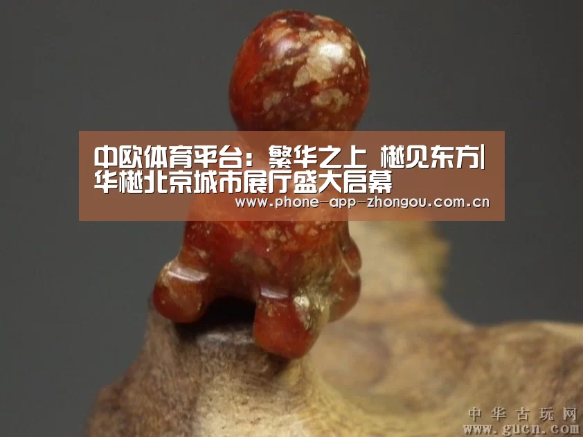 中欧体育