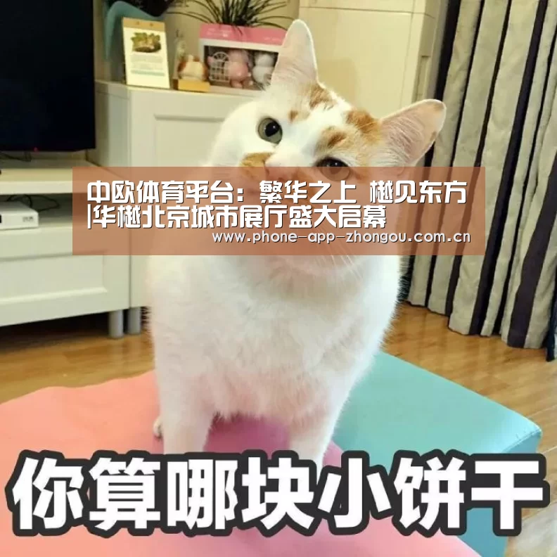 中欧体育官网