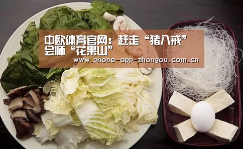 中欧体育