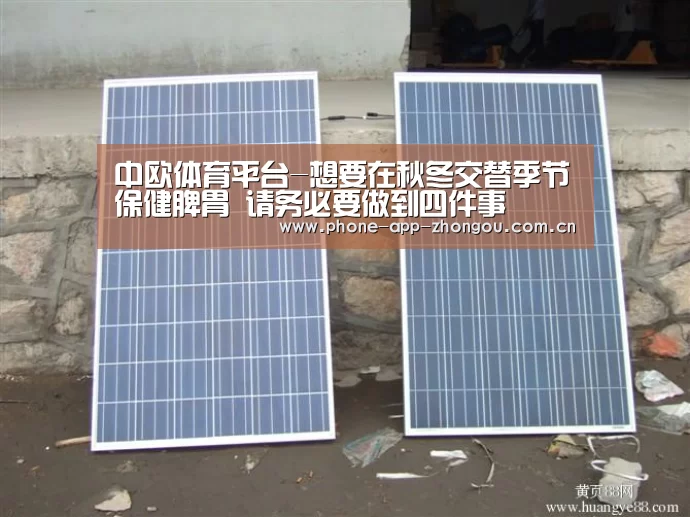 中欧体育平台-想要在秋冬交替季节保健脾胃 请务必要做到四件事(图2) zoty体育