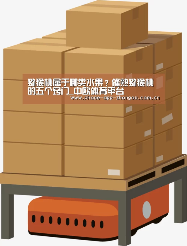 猕猴桃属于哪类水果?催熟猕猴桃的五个窍门_中欧体育平台(图2) 中欧体育官网