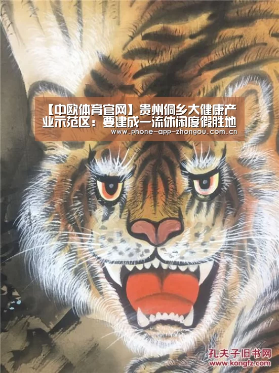 中欧体育官网