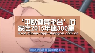 ‘中欧体育平台’石家庄2015年建300重点项目上半年已有60项目竣工(图1) zoty体育