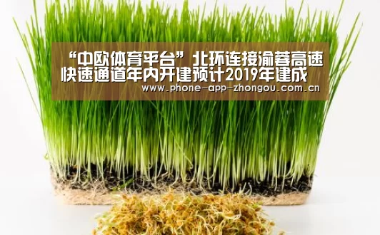 “中欧体育平台”北环连接渝蓉高速快速通道年内开建预计2019年建成(图4) 中欧体育官网