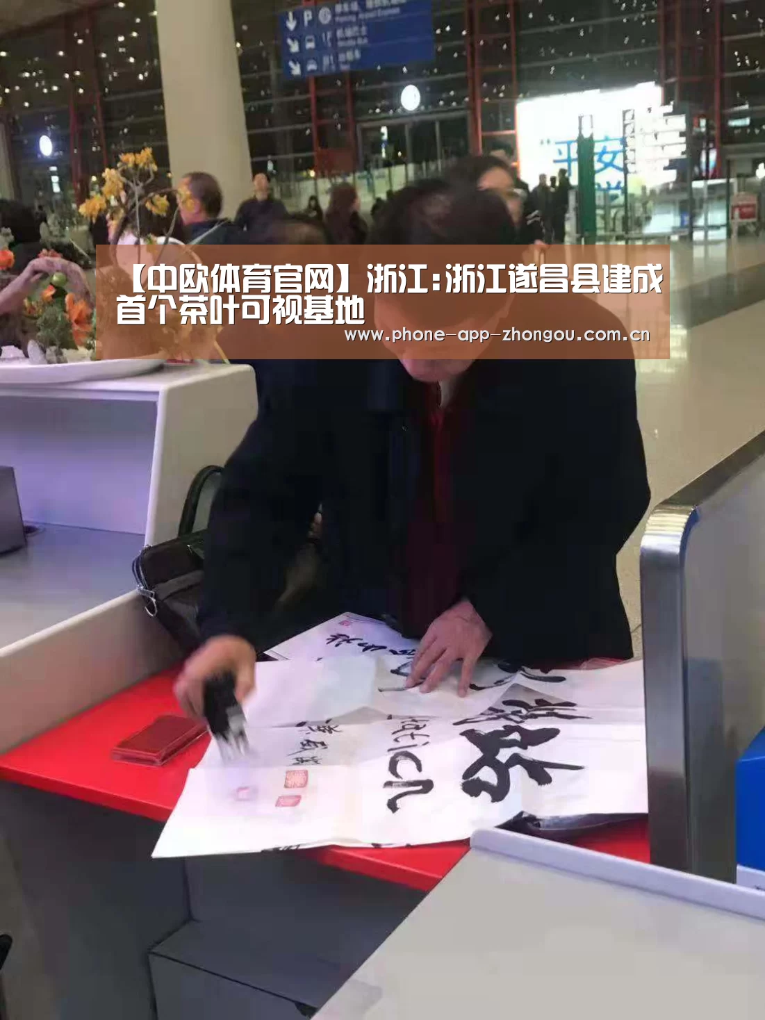 中欧体育