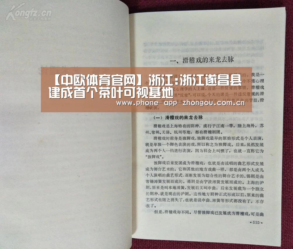 中欧体育平台