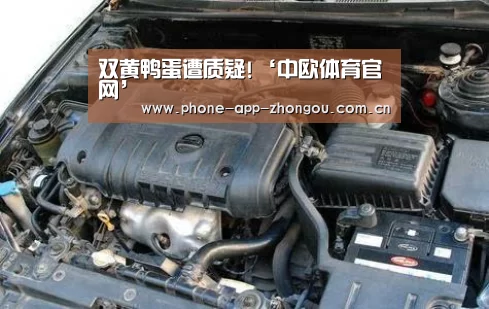 中欧体育官网