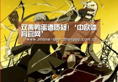 中欧体育官网