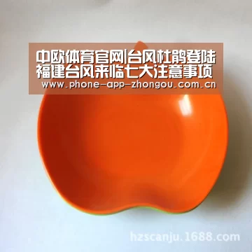 中欧体育平台