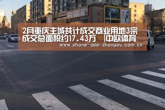 2月重庆主城共计成交商业用地3宗 成交总面积约17.43万㎡|中欧体育平台(图4) 中欧体育平台