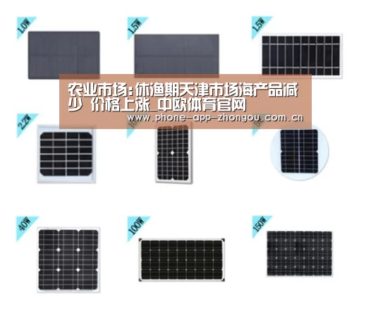 农业市场:休渔期天津市场海产品减少 价格上涨_中欧体育官网(图3) 中欧体育官网