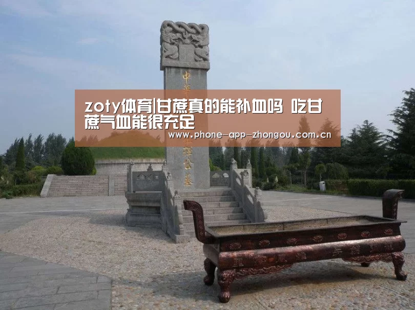 zoty体育|甘蔗真的能补血吗 吃甘蔗气血能很充足(图2) 中欧体育官网