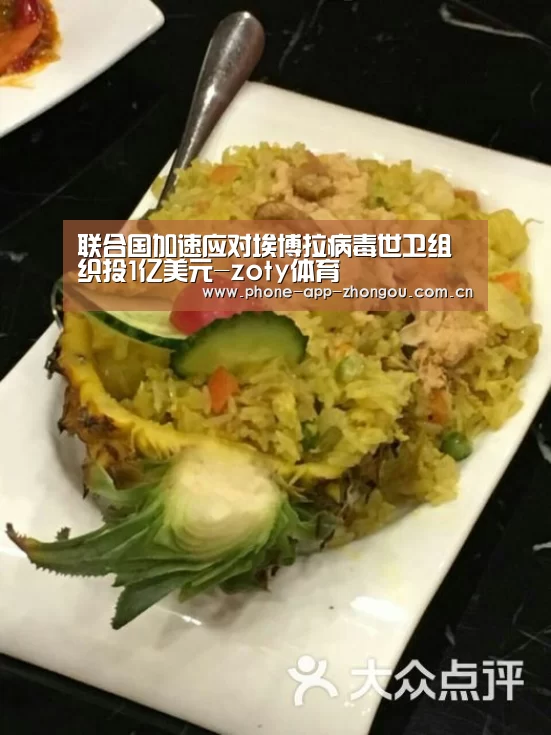 联合国加速应对埃博拉病毒世卫组织投1亿美元-zoty体育(图2) 中欧体育官网