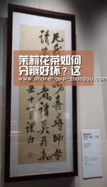 茉莉花茶如何分辨好坏?这五个选购小技巧看完涨知识!【中欧体育官网】(图2) 中欧体育官网