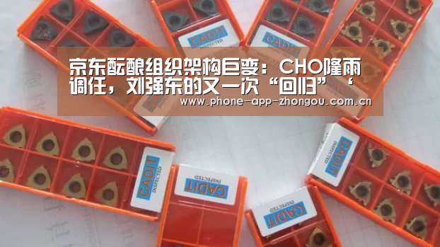 京东酝酿组织架构巨变:CHO隆雨调任,刘强东的又一次“回归”‘中欧体育平台’(图1) 中欧体育平台