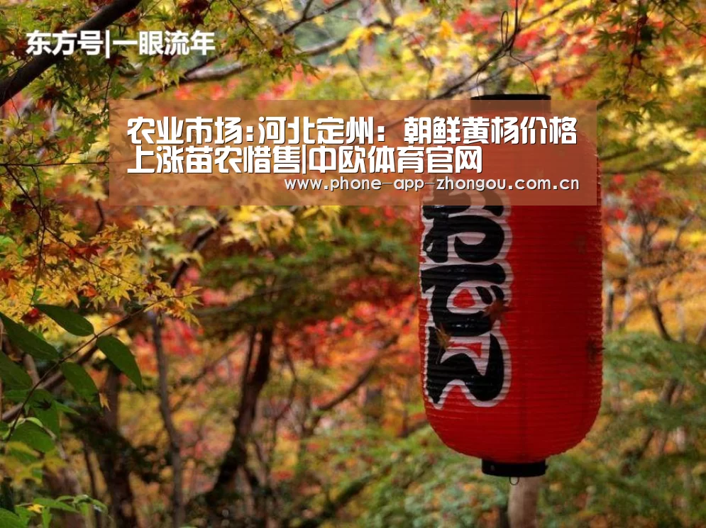 中欧体育平台