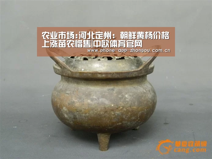 中欧体育