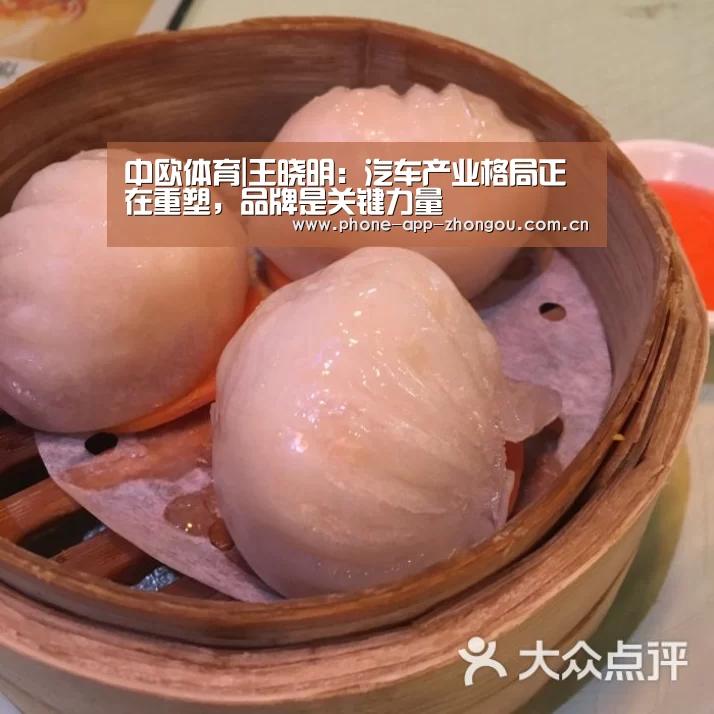 中欧体育|王晓明:汽车产业格局正在重塑,品牌是关键力量(图2) 中欧体育