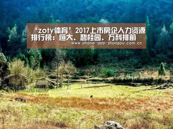 ‘zoty体育’2017上市房企人力资源排行榜:恒大、碧桂园、万科排前三(图2) zoty体育