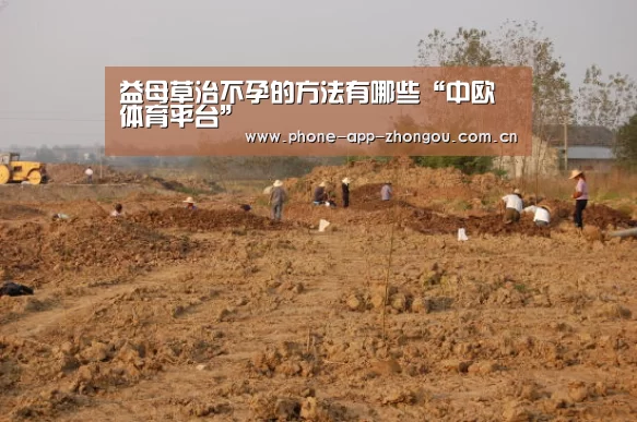益母草治不孕的方法有哪些“中欧体育平台”(图4) 中欧体育平台